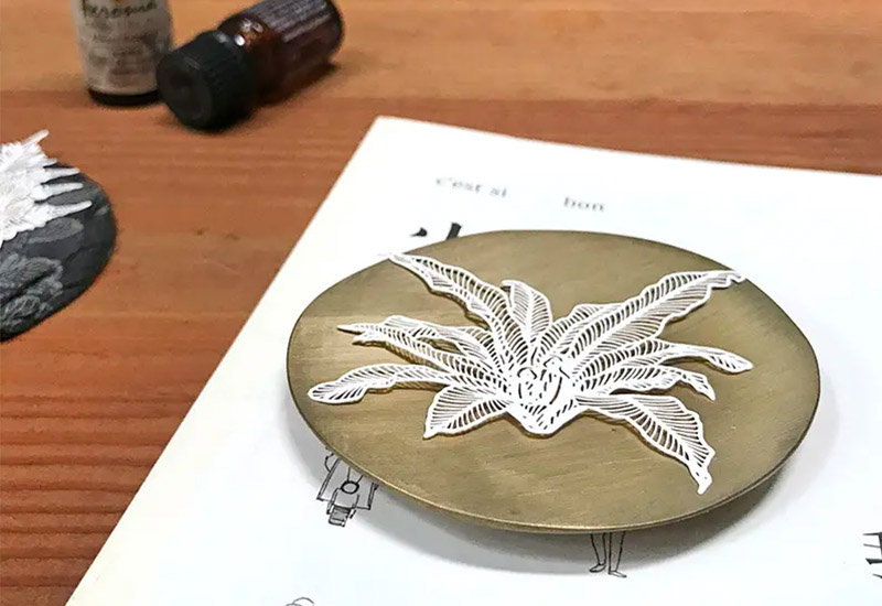 蕨類標本紙雕-南洋山蘇花