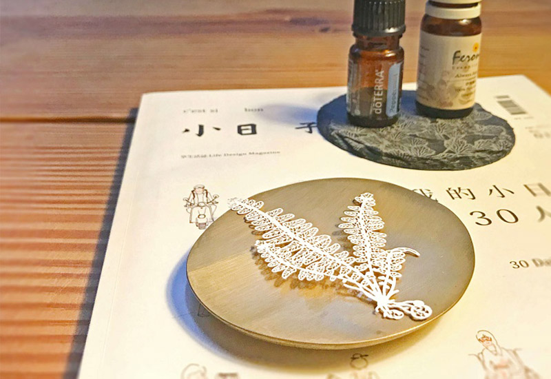 蕨類標本紙雕-腎蕨