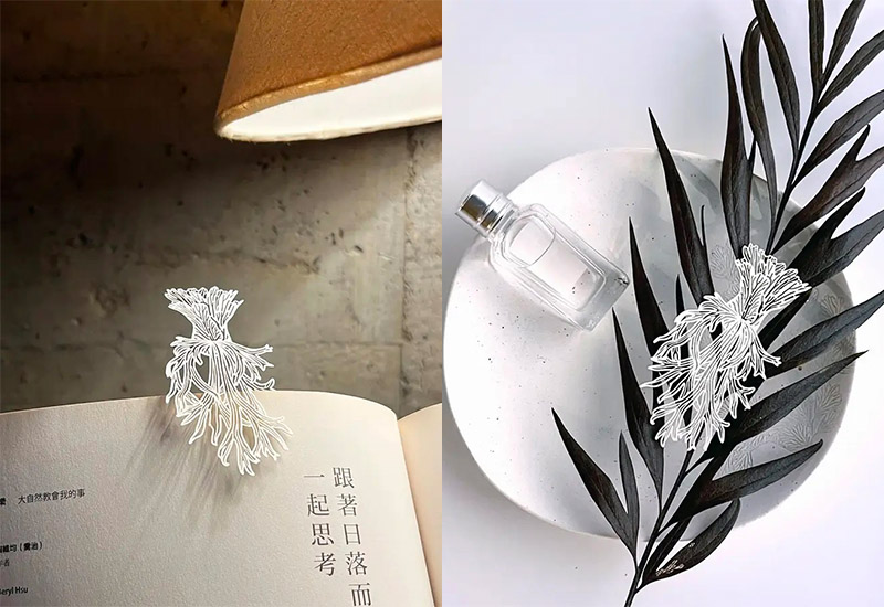 蕨類標本紙雕3.0-爪哇鹿角蕨