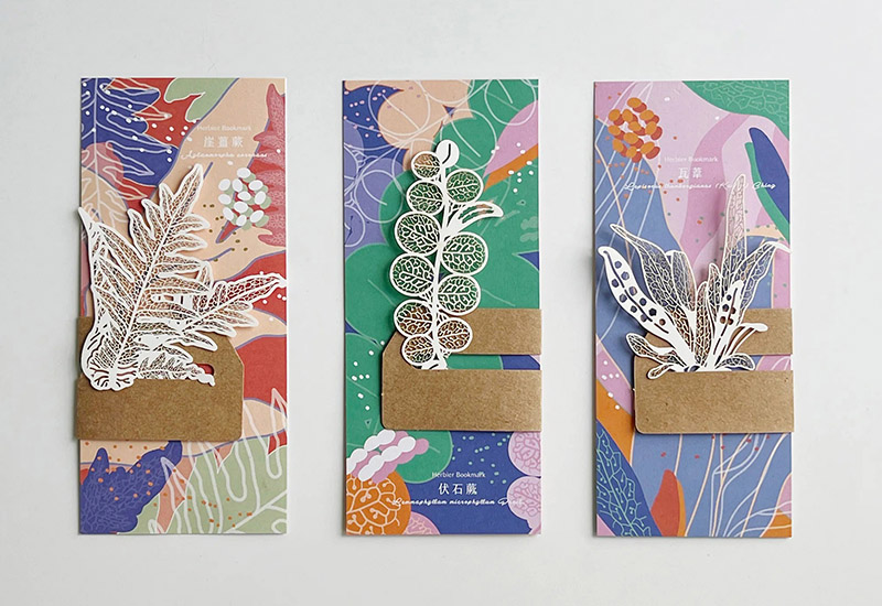 蕨類標本紙雕4.0-崖薑蕨