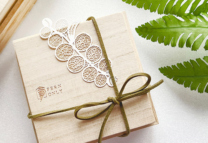 蕨類標本紙雕4.0-伏石蕨